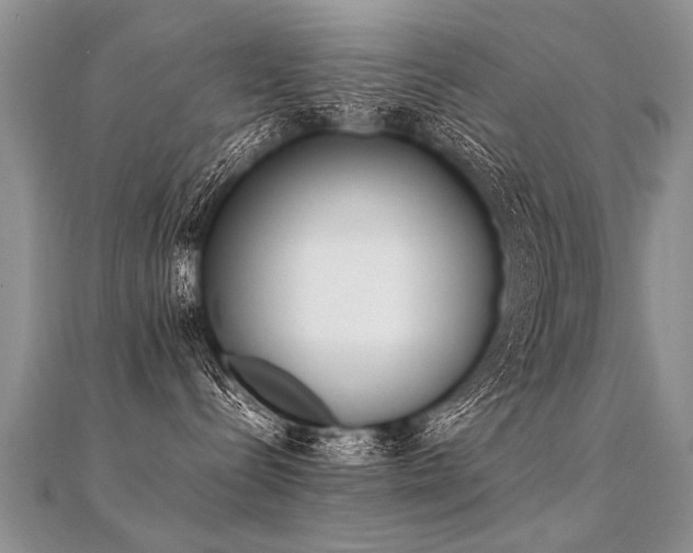 X0000112040288200908101408