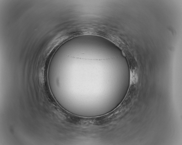 X0000112040291200908101407