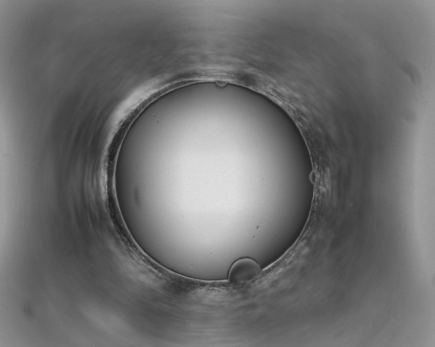 X0000112040294200908101407