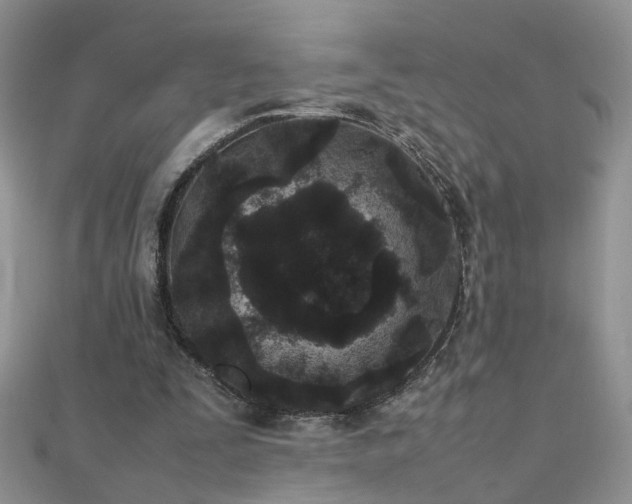 X0000112040295200908101407