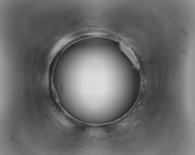 X0000112040296200908101407