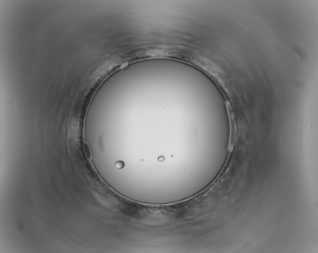 X0000112040297200908101407