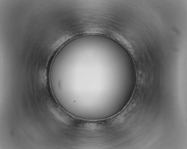 X0000112040298200908101407