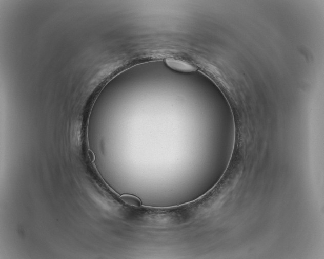 X0000112040299200908101407