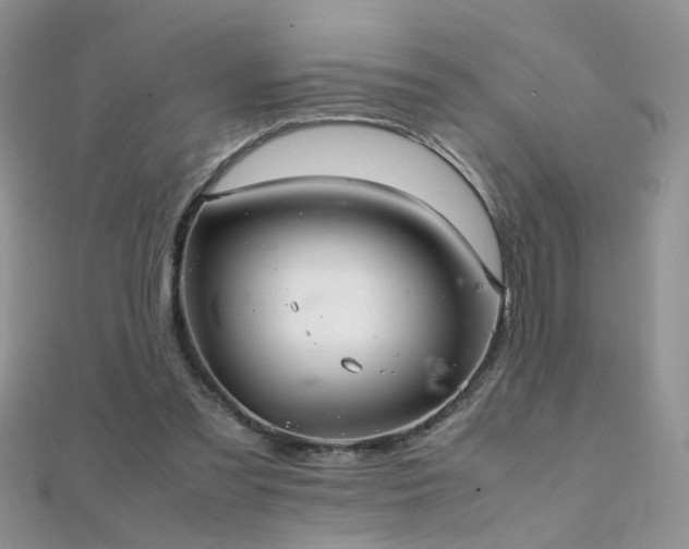 X0000112040301200908101407