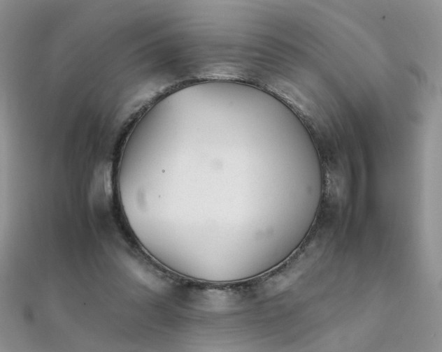 X0000112040302200908101407