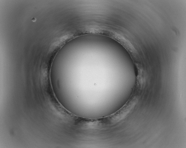 X0000112040306200908101407