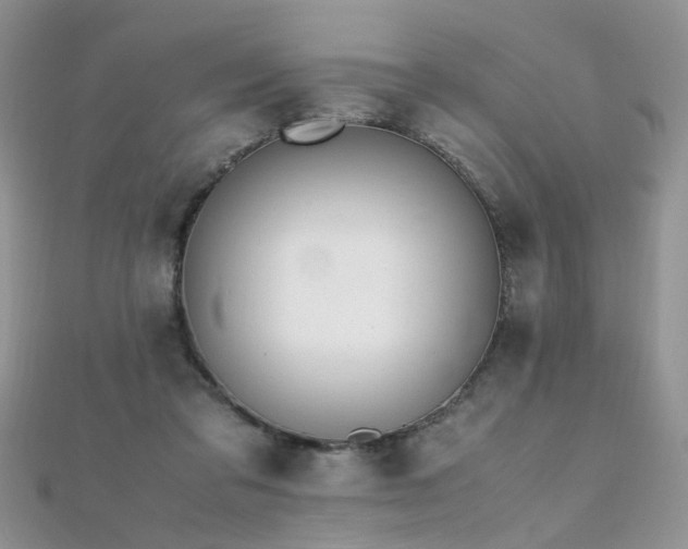 X0000112040309200908101407