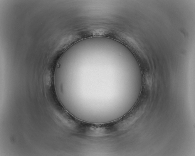 X0000112040311200908101407