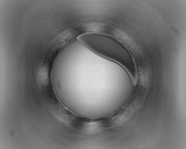 X0000112040312200908101407