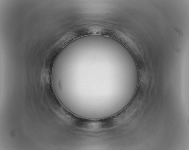 X0000112040313200908101407