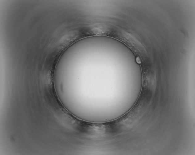 X0000112040317200908101407