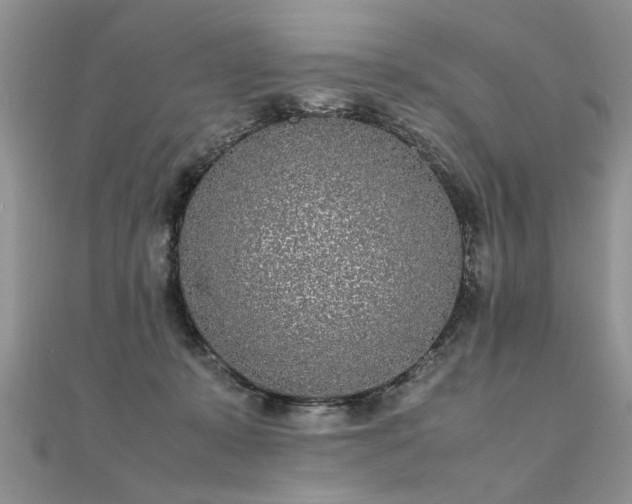 X0000112040319200908101407