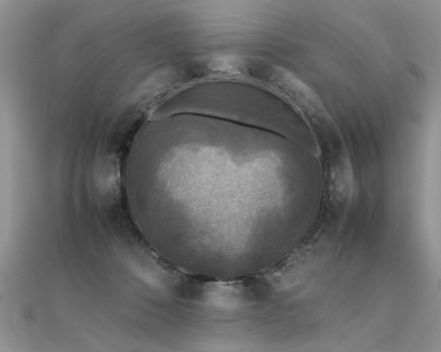 X0000112040320200908101407