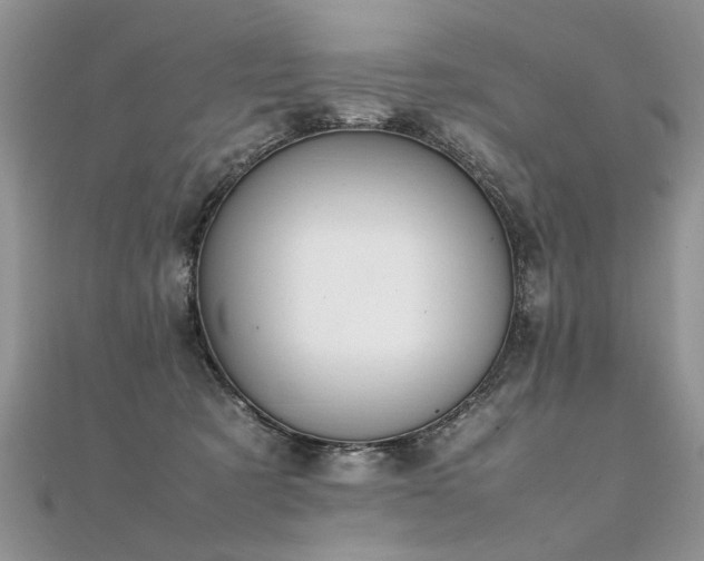 X0000112040321200908101407