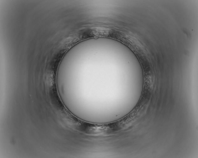 X0000112040323200908101407