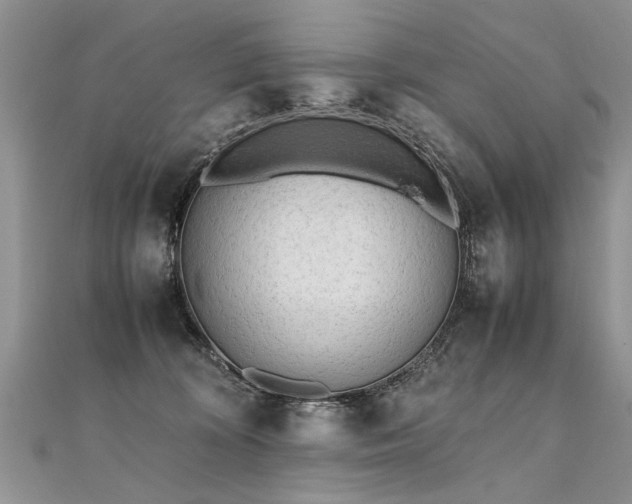 X0000112040324200908101407