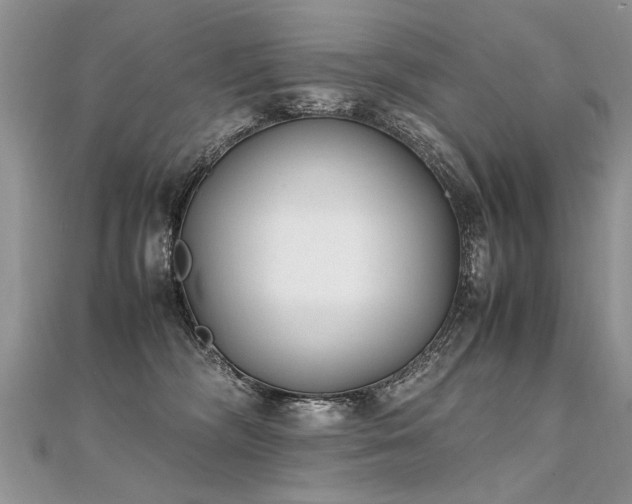 X0000112040326200908101407