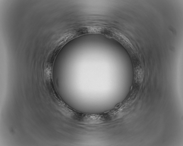 X0000112040329200908101407