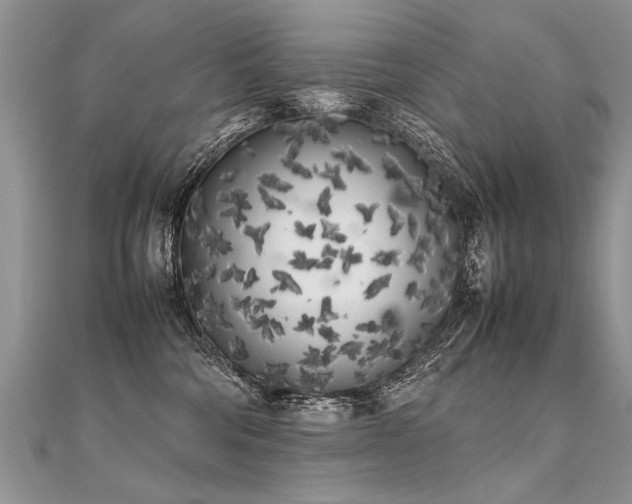 X0000112040330200908101407