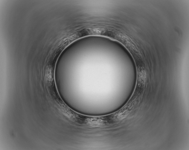 X0000112040331200908101407