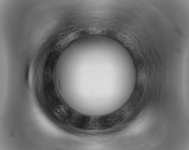X0000112040335200908101407