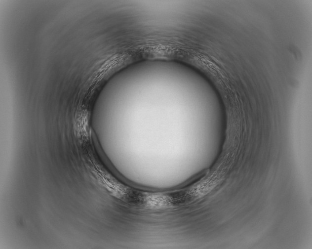 X0000112040336200908101407