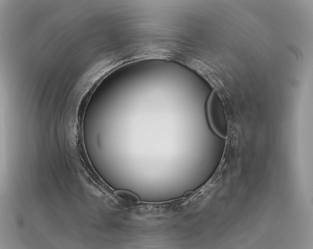 X0000112040338200908101406