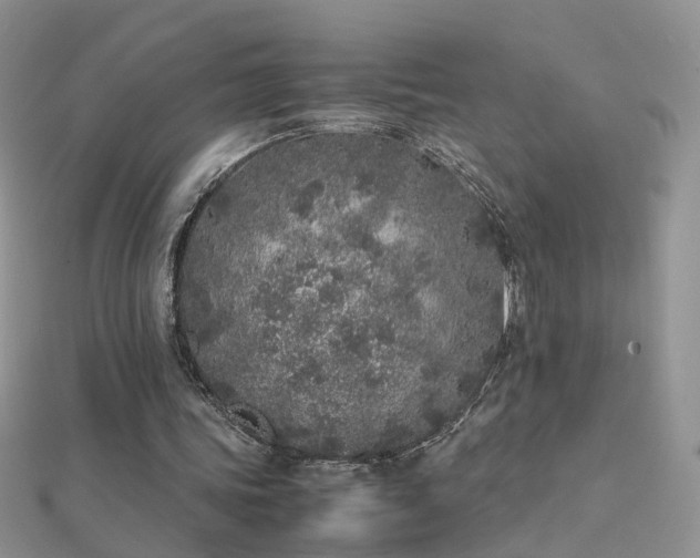 X0000112040339200908101406