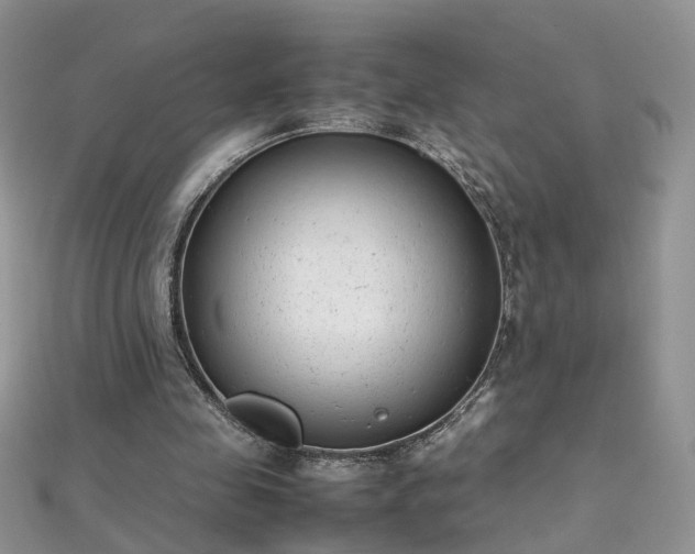 X0000112040341200908101406