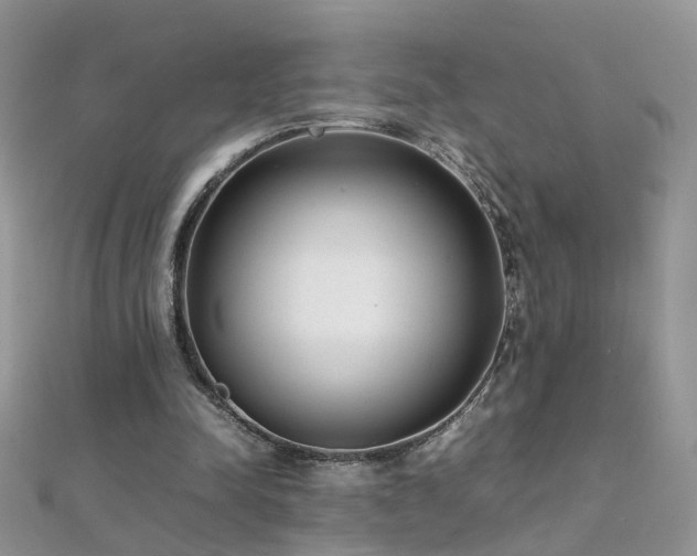 X0000112040342200908101406