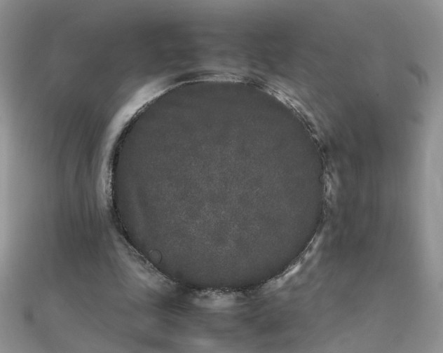 X0000112040343200908101406