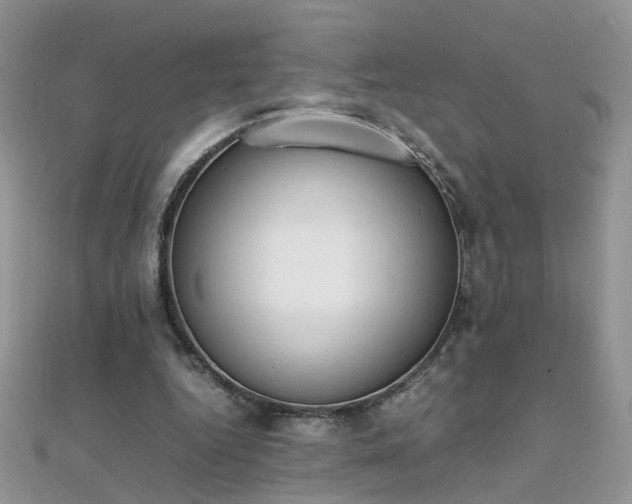 X0000112040344200908101406