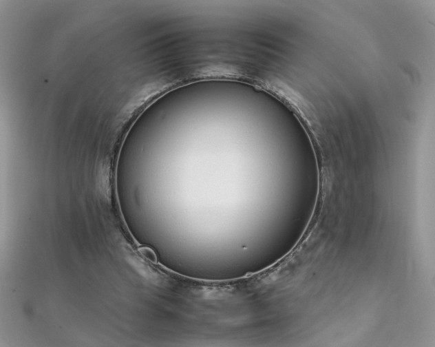 X0000112040345200908101406