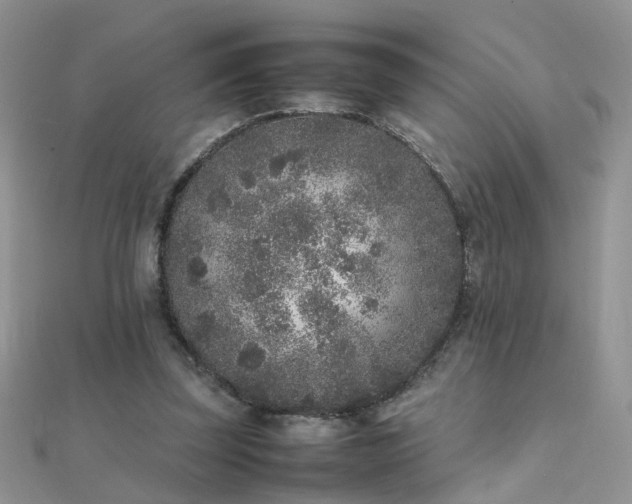 X0000112040347200908101406