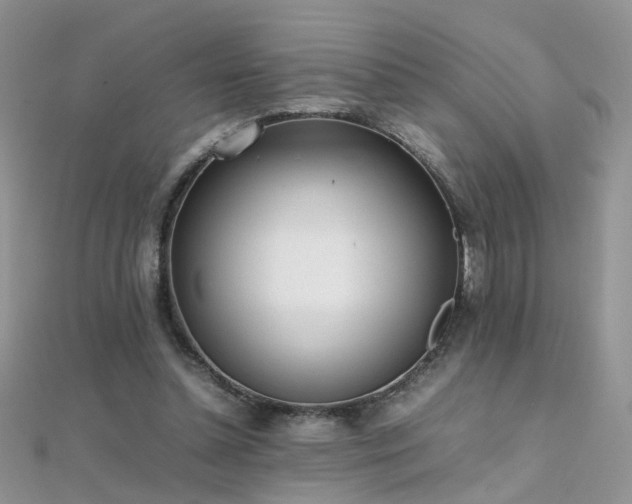 X0000112040348200908101406
