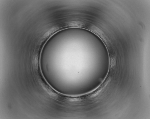 X0000112040349200908101406