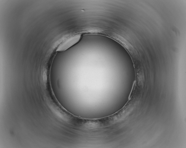 X0000112040350200908101406