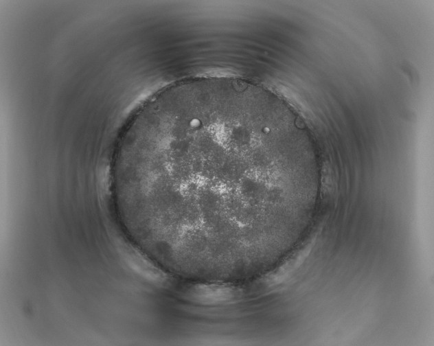 X0000112040351200908101406