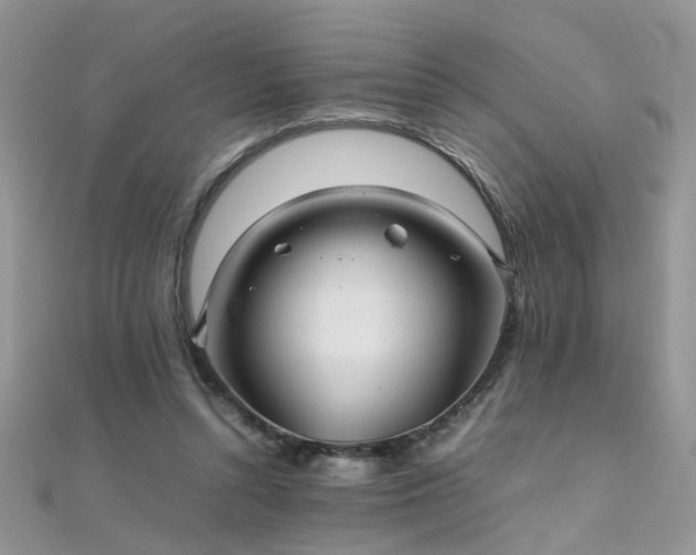 X0000112040352200908101406