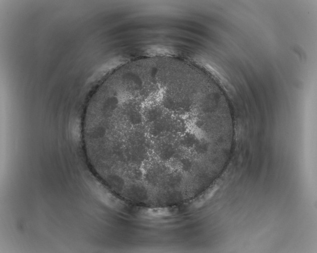 X0000112040353200908101406