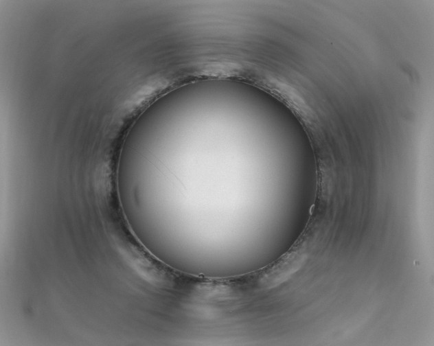 X0000112040354200908101406