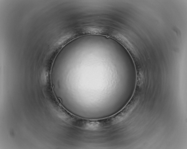X0000112040355200908101406
