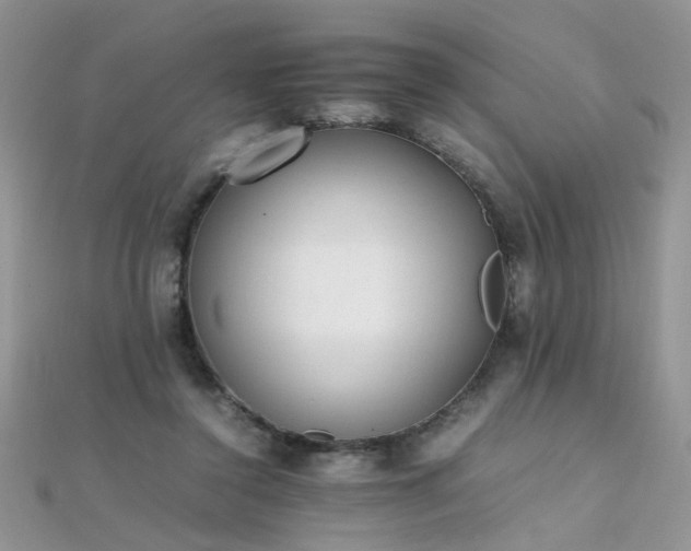 X0000112040356200908101406