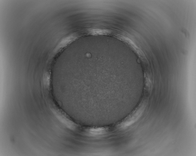 X0000112040357200908101406
