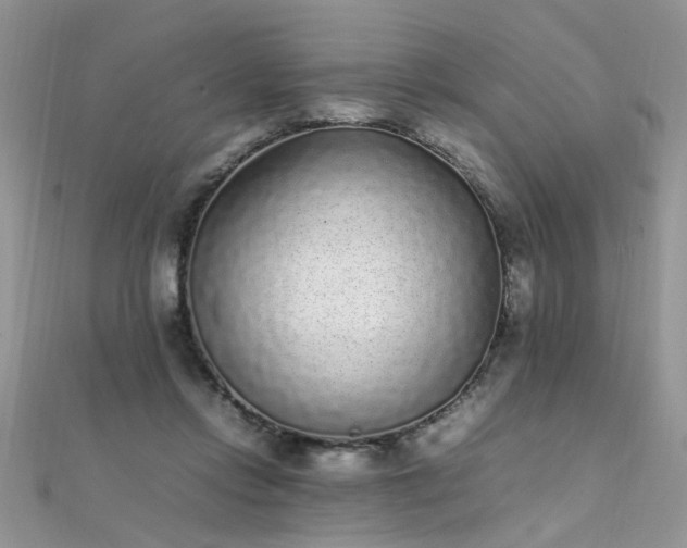 X0000112040358200908101406