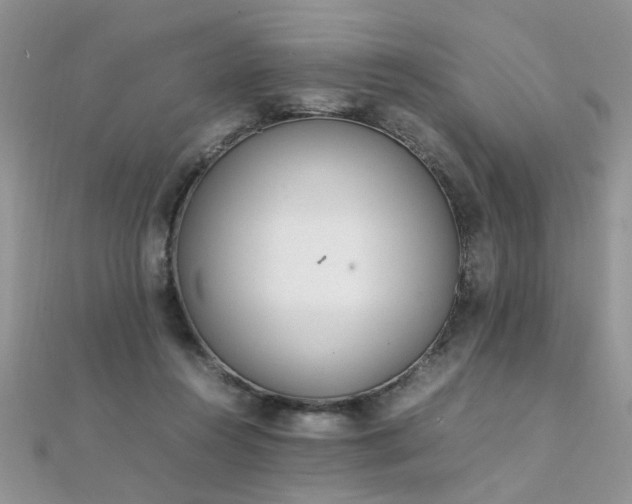 X0000112040360200908101406