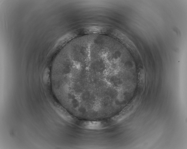 X0000112040361200908101406