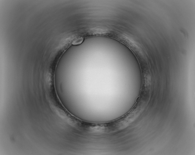 X0000112040362200908101406