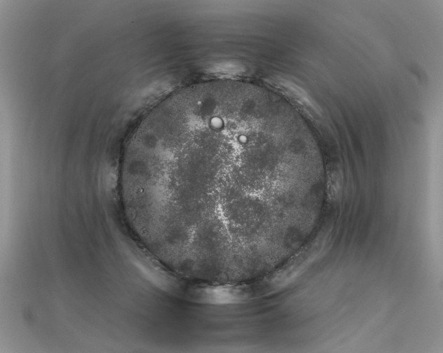 X0000112040365200908101406